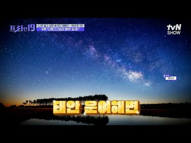 Tiving 上的串流媒體： #全炫武_ #吳尚鎮#韓石俊free19 EP.475史無前例的Scoop 排名每週一晚9點50分在tvN SHOW播出· 每週二