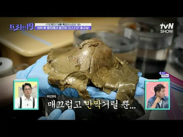 Tiving 上的串流媒體： #全炫武_ #吳尚鎮#韓石俊free19 EP.477史無前例的Scoop 排名每週一晚9點50分在tvN SHOW播出· 每週二