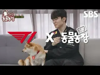 #申東燁#Jeon SoNee（チョン・ソンヒ）_ #Tony An_ #Joy
 #SBSCulture #TVAnimalFarm #AnimalFarm 