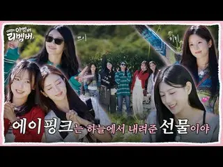 【這位成員？還記得嗎？ 】EP 04. Apink_ 是上天的禮物~ 一份來自天堂的禮物🪽 | 這位成員？還記得嗎？

 Apink_ 被困在遊戲地獄女孩之夜