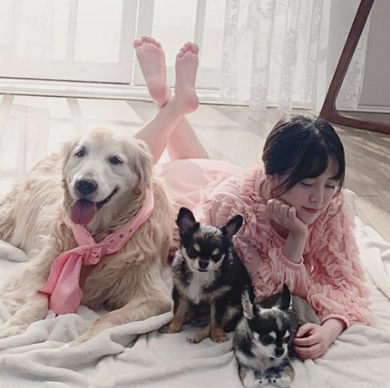 女演員Ku Hye sun在保護狗尾的同時拍了全家福
