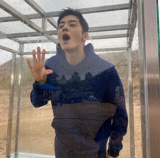 CHAEUNWOO(ASRTO),你的臉有多小? ......用迷人的內疚表情擊倒粉絲