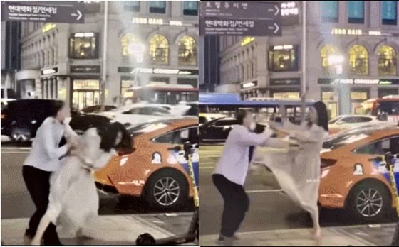 一名醉酒女子毆打出租車司機男子的視頻流傳開來，“警惕醉酒文化”=韓國報導