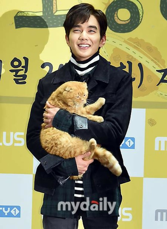 明星們都愛的貓！從俊昊（2PM）、希澈（SUPER JUNIOR）到樸信惠……代表演藝界的愛貓人士總結