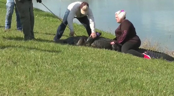 美國女子遛狗時被拖入水中身亡