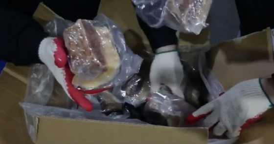 韓國譴責從日本偽裝成“魚糕”走私 4 噸“鯨魚肉”的集團