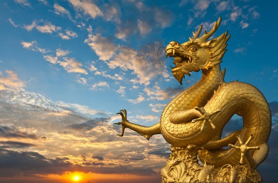 中國深圳，一條鱷魚突然從天而降。