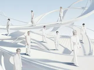 SEVENTEEN演唱會爆竹掉落致兩名觀眾受傷