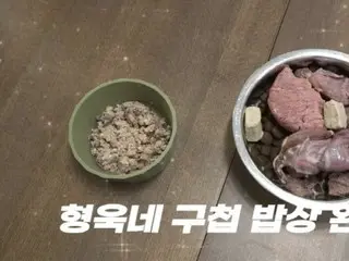 「我每個月在食物上花費351萬韓元」生肉和營養補充劑...「狗生食」正在蓬勃發展 - 韓國報告