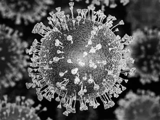 中國也對新型冠狀病毒的死灰復燃感到緊張：「JN.1增加」=韓國報告