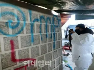 韓國首爾景福宮塗鴉：十幾歲男孩付出慘痛代價