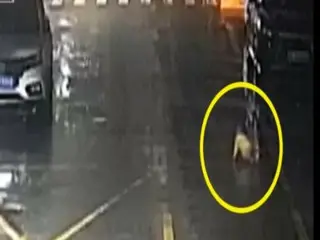 6個月大的嬰兒雨夜獨自爬在路上……中國到底發生了什麼事？