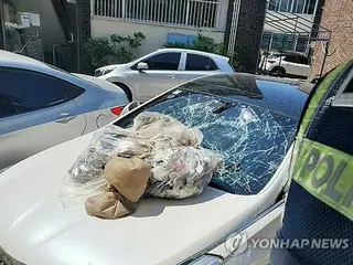 北韓「污物氣球」引發乘用車受損等損害救濟措施討論=韓國政府