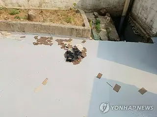 北韓「髒氣球」造成汽車、房屋受損等12起損害事件=韓國