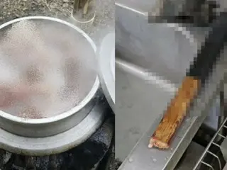 60多歲男子因「吃狗肉湯」而殺死狗被控=韓國