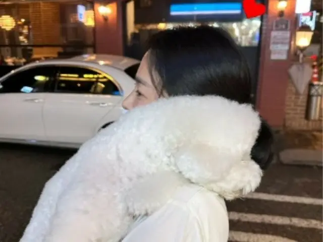 女演員宋慧喬牽著心愛的狗在街上散步……她無法隱藏她纖細的鼻線