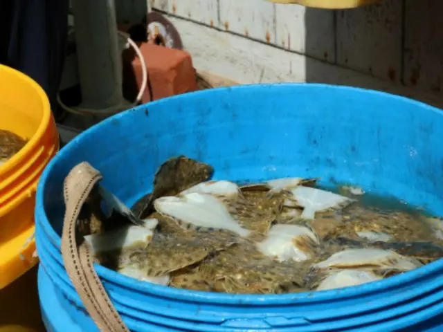 韓國海洋升溫速度是世界海洋的兩倍…“氣候變遷研究和投資刻不容緩”