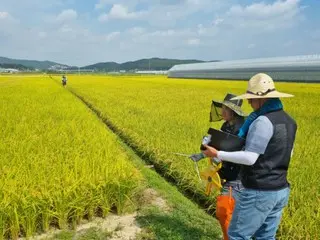 亞洲米價一週內「暴跌」11%…創16年來新低