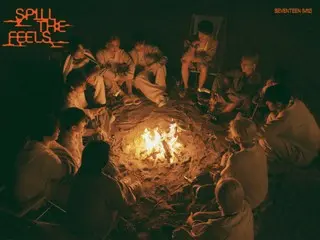 《SEVENTEEN》第12張迷你專輯進入美國Billboard 200前5名...證明強大的唱片實力