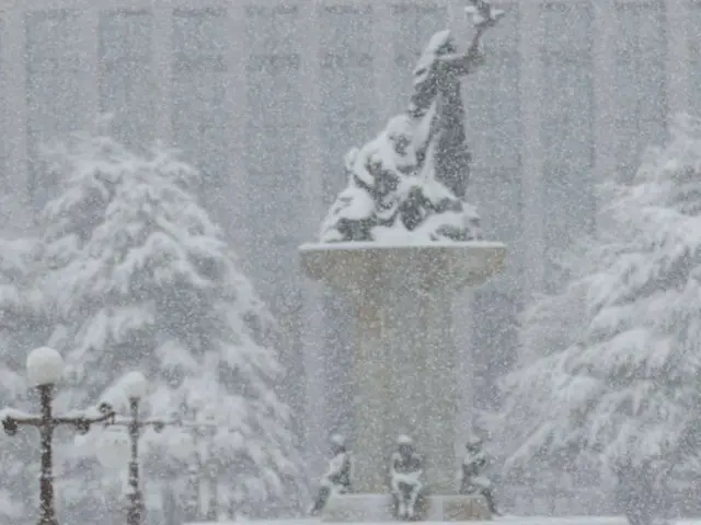 韓國下第一場雪=正確預測今夏熱浪的韓國氣象學家預測今冬嚴寒