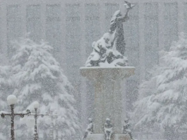 記録的な「11月の大雪」に2018年以来の農業施設最大被害＝韓国