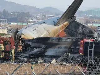 務安國際機場客機失事「鳥擊是原因」VS「無法解釋」…專家對事故原因有不同看法=韓國