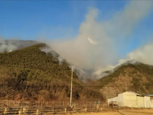 大邱で発生した山火事、消火率50%... 夜間消火体制に転換＝韓国