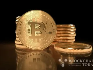 因涉嫌虛報收入，該策略面臨集體訴訟