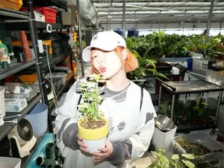 泫雅（前 4Minute 成員）和龍俊亨（前 HIGHLIGHT 成員），一對走到哪裡都引人注目的情侶……薄荷色的頭髮和出眾的視覺效果