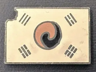 李在明總統胸前的「太極旗破了」是什麼意思？ =韓國