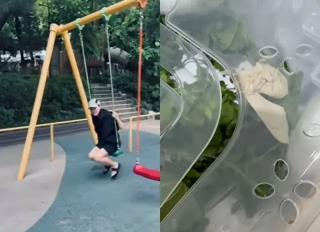 “夫はヒョンビン”ソン・イェジン、人間味あふれる“サブ垢”オープン、ハ・ジョンウも緊張する？命名センス