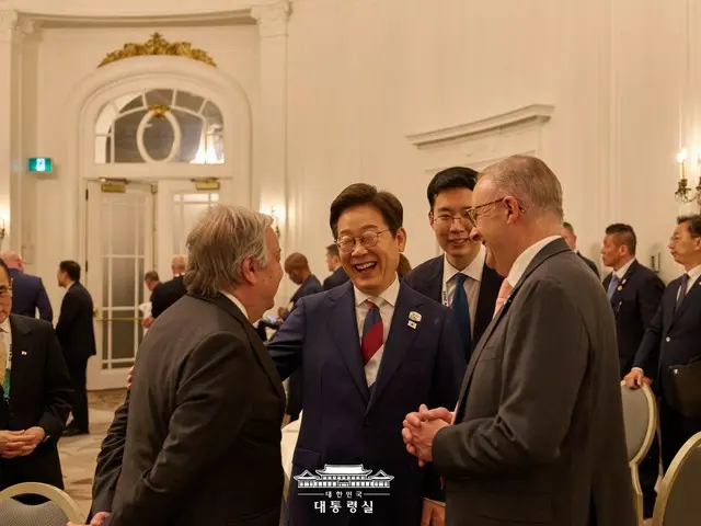 韓國反對黨：“李明博總統只是個‘名義上的務實外交官’”…“不參加北約會議是錯誤的決定”