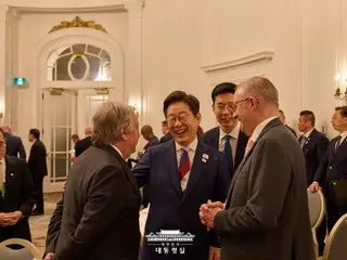 韓國反對黨：“李明博總統只是個‘名義上的務實外交官’”…“不參加北約會議是錯誤的決定”