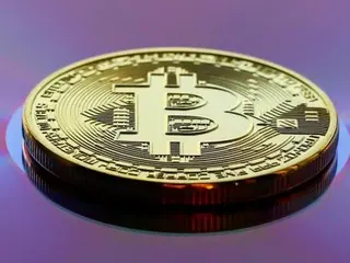 比特幣寶藏熱潮或將抵消山寨幣的損失