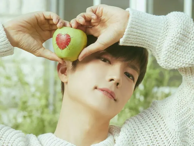 「2PM」ウヨン、ソロコンサート全回全席完売…9月カムバックを予告