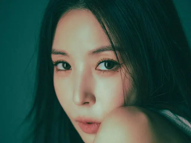 BoA重啟Instagram...演唱會「BoA One's Own 2024」將於12日和13日舉行