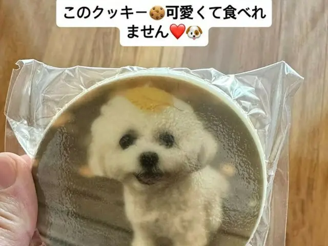 東方神起成員昌珉，以及印有他愛犬波奇圖案的餅乾，說道：“這塊餅乾太可愛了，捨不得吃。”